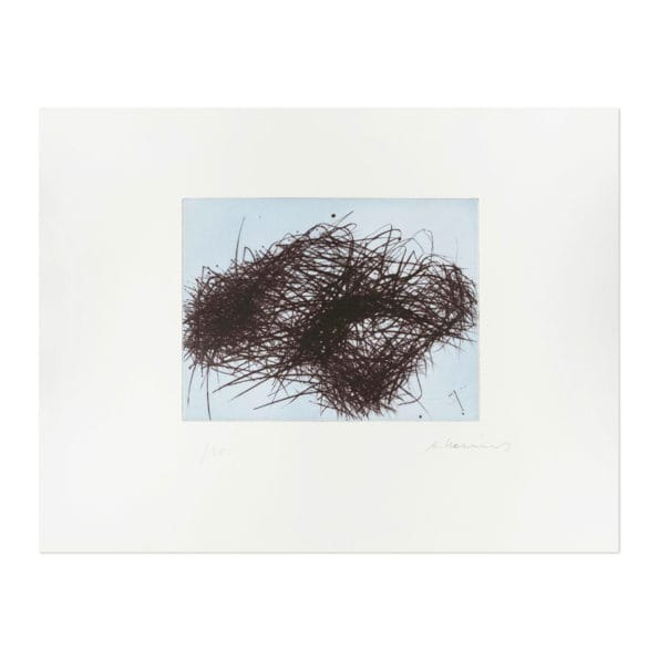 Arnulf Rainer, Drahtwolke