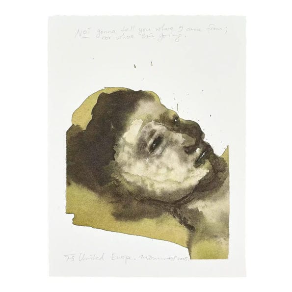 Marlene Dumas, United Europe