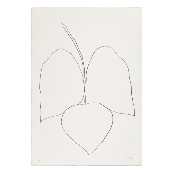 Ellsworth Kelly, String Bean Leaves I