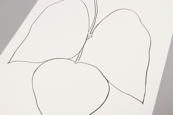 Ellsworth Kelly, String Bean Leaves I