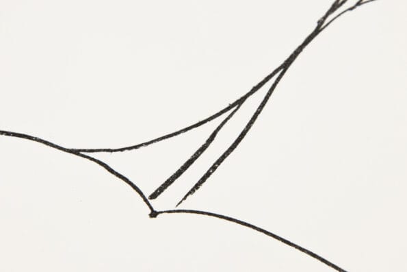 Ellsworth Kelly, String Bean Leaves I