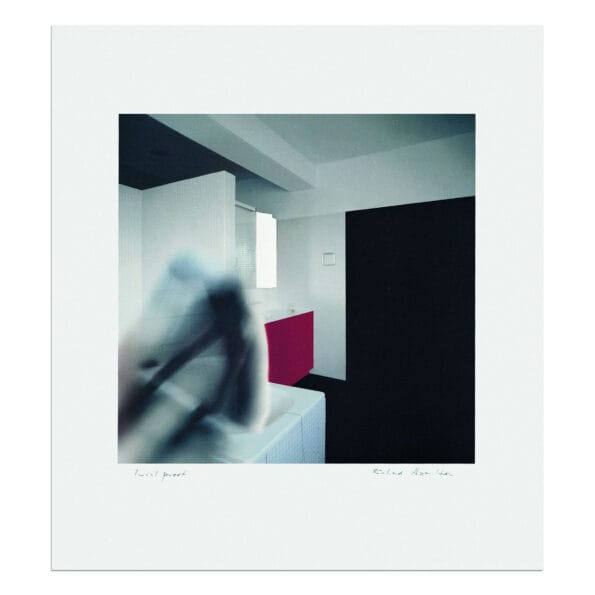 Richard Hamilton, Bathroom Fig. 1