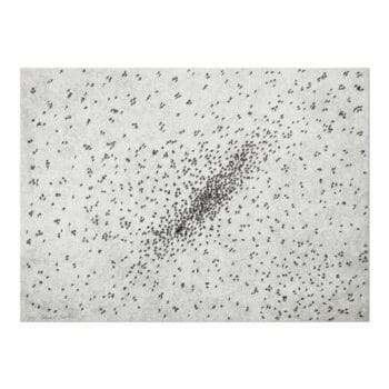 Ed Ruscha, Insect Slant (Ants)